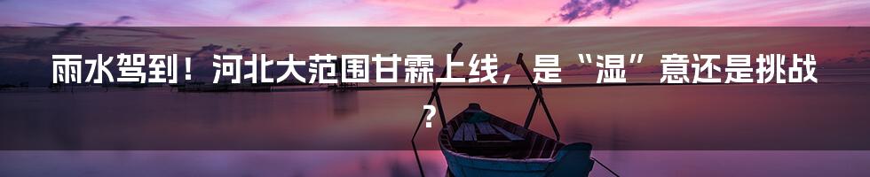 雨水驾到！河北大范围甘霖上线，是“湿”意还是挑战？