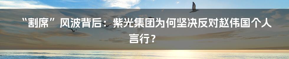 “割席”风波背后：紫光集团为何坚决反对赵伟国个人言行？