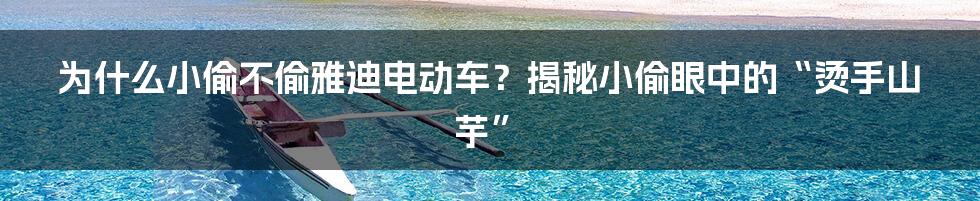 为什么小偷不偷雅迪电动车？揭秘小偷眼中的“烫手山芋”