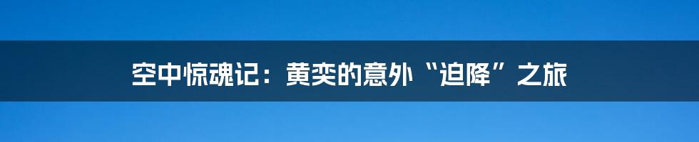 空中惊魂记：黄奕的意外“迫降”之旅