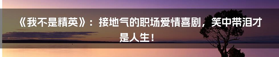 《我不是精英》：接地气的职场爱情喜剧，笑中带泪才是人生！