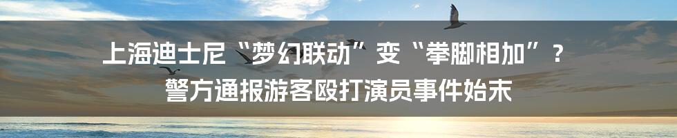 上海迪士尼“梦幻联动”变“拳脚相加”？ 警方通报游客殴打演员事件始末