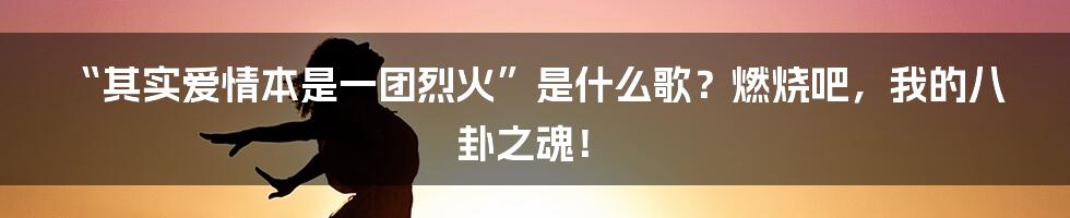 “其实爱情本是一团烈火”是什么歌？燃烧吧，我的八卦之魂！