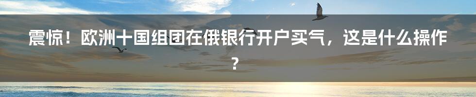 震惊！欧洲十国组团在俄银行开户买气，这是什么操作？
