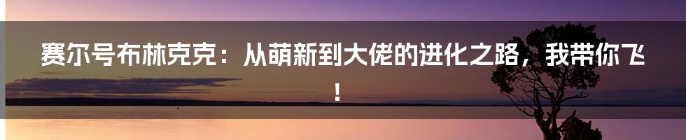 赛尔号布林克克：从萌新到大佬的进化之路，我带你飞！