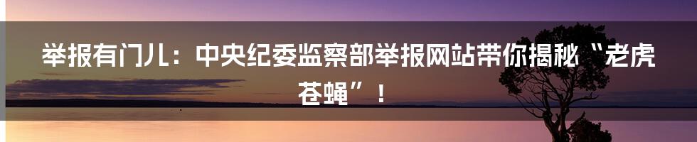 举报有门儿：中央纪委监察部举报网站带你揭秘“老虎苍蝇”！