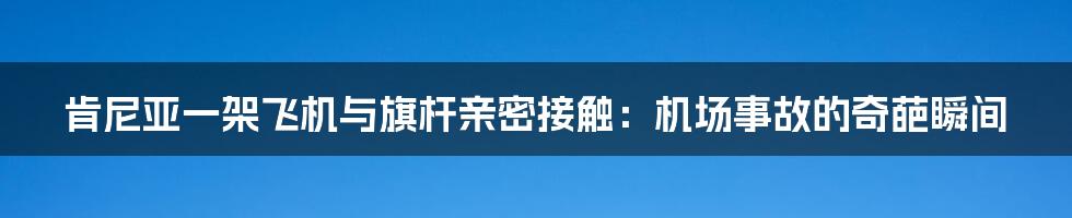 肯尼亚一架飞机与旗杆亲密接触：机场事故的奇葩瞬间