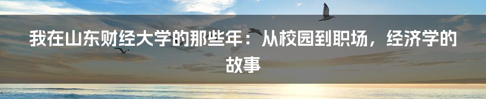 我在山东财经大学的那些年：从校园到职场，经济学的故事