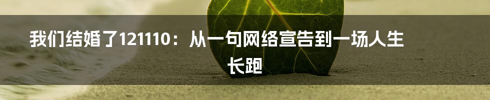 我们结婚了121110：从一句网络宣告到一场人生长跑
