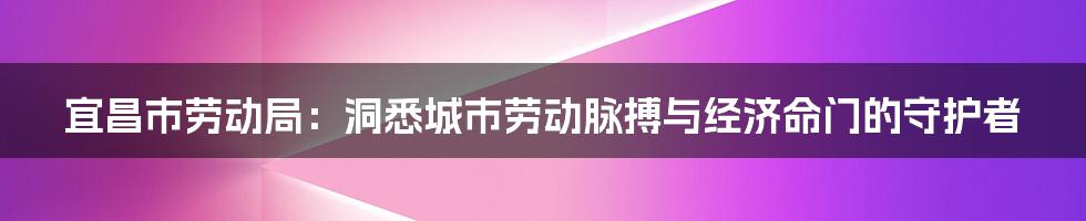 宜昌市劳动局：洞悉城市劳动脉搏与经济命门的守护者