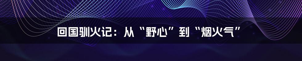 回国驯火记：从“野心”到“烟火气”