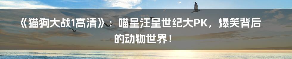《猫狗大战1高清》：喵星汪星世纪大PK，爆笑背后的动物世界！