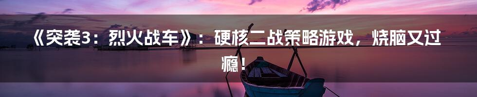 《突袭3：烈火战车》：硬核二战策略游戏，烧脑又过瘾！