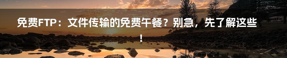 免费FTP：文件传输的免费午餐？别急，先了解这些！