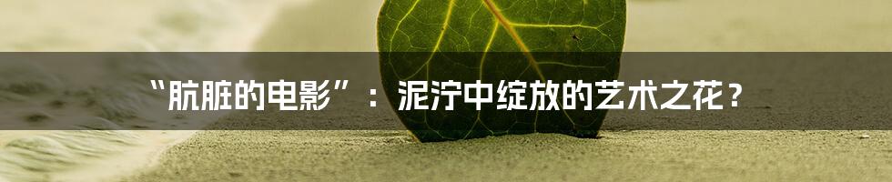 “肮脏的电影”：泥泞中绽放的艺术之花？