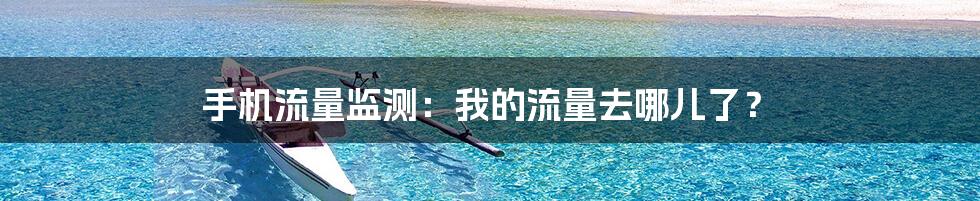 手机流量监测：我的流量去哪儿了？