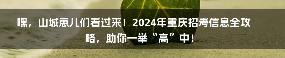 嘿，山城崽儿们看过来！2024年重庆招考信息全攻略，助你一举“高”中！