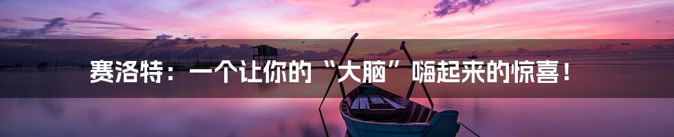 赛洛特：一个让你的“大脑”嗨起来的惊喜！