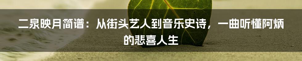 二泉映月简谱：从街头艺人到音乐史诗，一曲听懂阿炳的悲喜人生