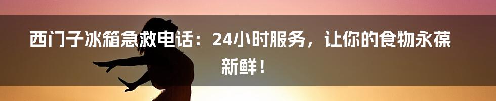 西门子冰箱急救电话：24小时服务，让你的食物永葆新鲜！