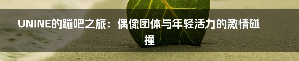 UNINE的蹦吧之旅：偶像团体与年轻活力的激情碰撞