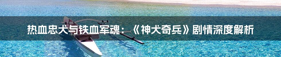热血忠犬与铁血军魂：《神犬奇兵》剧情深度解析