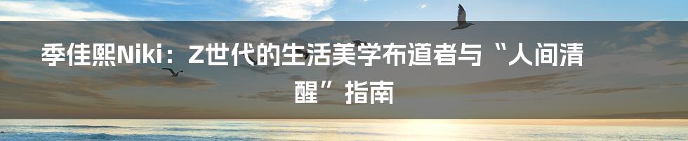 季佳熙Niki：Z世代的生活美学布道者与“人间清醒”指南