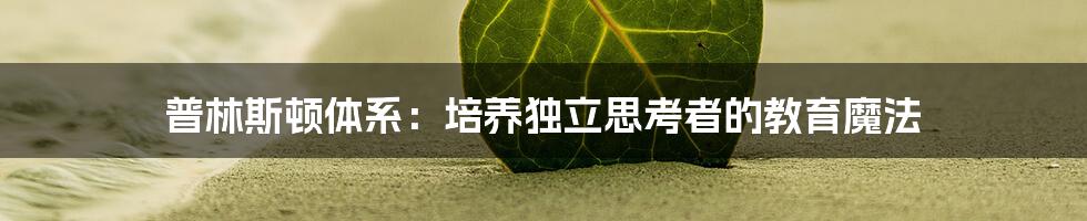 普林斯顿体系：培养独立思考者的教育魔法