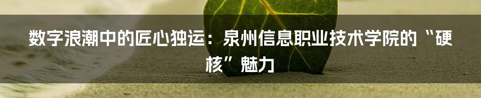数字浪潮中的匠心独运：泉州信息职业技术学院的“硬核”魅力