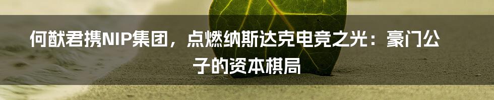 何猷君携NIP集团，点燃纳斯达克电竞之光：豪门公子的资本棋局