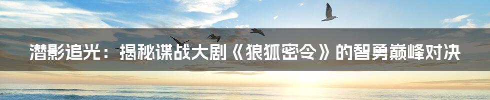 潜影追光：揭秘谍战大剧《狼狐密令》的智勇巅峰对决