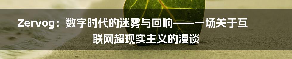 Zervog：数字时代的迷雾与回响——一场关于互联网超现实主义的漫谈