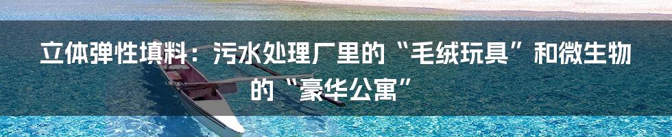 立体弹性填料：污水处理厂里的“毛绒玩具”和微生物的“豪华公寓”
