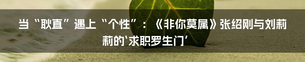 当“耿直”遇上“个性”：《非你莫属》张绍刚与刘莉莉的‘求职罗生门’