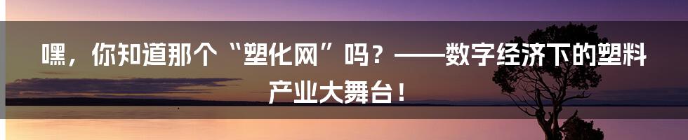 嘿，你知道那个“塑化网”吗？——数字经济下的塑料产业大舞台！