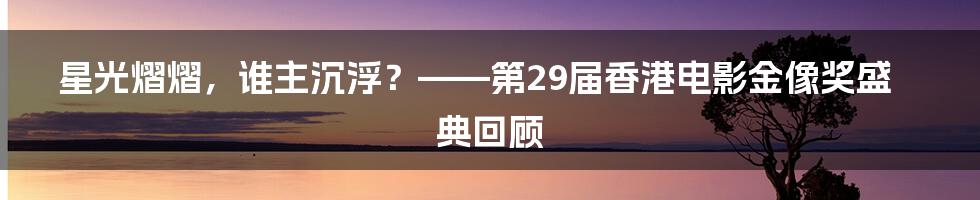 星光熠熠，谁主沉浮？——第29届香港电影金像奖盛典回顾