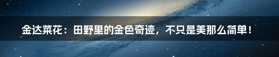 金达菜花：田野里的金色奇迹，不只是美那么简单！