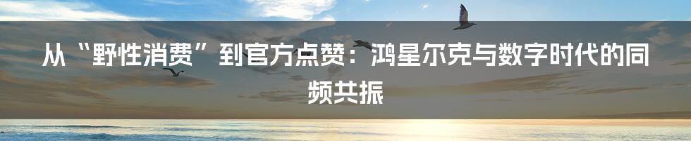 从“野性消费”到官方点赞：鸿星尔克与数字时代的同频共振