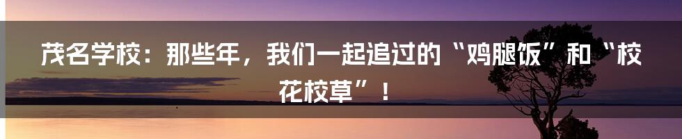茂名学校：那些年，我们一起追过的“鸡腿饭”和“校花校草”！