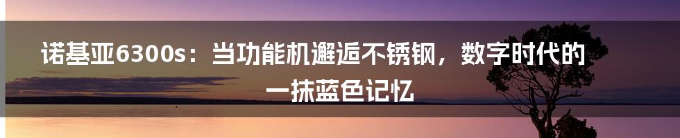诺基亚6300s：当功能机邂逅不锈钢，数字时代的一抹蓝色记忆