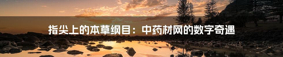 指尖上的本草纲目：中药材网的数字奇遇