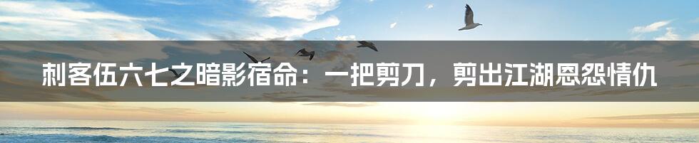 刺客伍六七之暗影宿命：一把剪刀，剪出江湖恩怨情仇