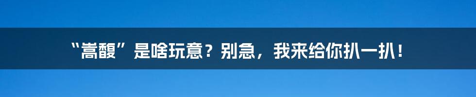 “嵩馥”是啥玩意？别急，我来给你扒一扒！