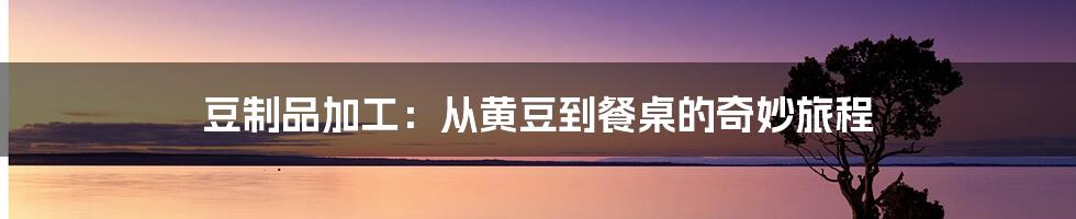 豆制品加工：从黄豆到餐桌的奇妙旅程