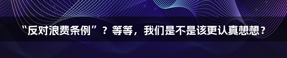 “反对浪费条例”？等等，我们是不是该更认真想想？