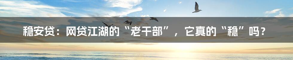 稳安贷：网贷江湖的“老干部”，它真的“稳”吗？