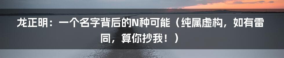 龙正明：一个名字背后的N种可能（纯属虚构，如有雷同，算你抄我！）