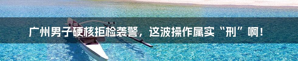 广州男子硬核拒检袭警，这波操作属实“刑”啊！