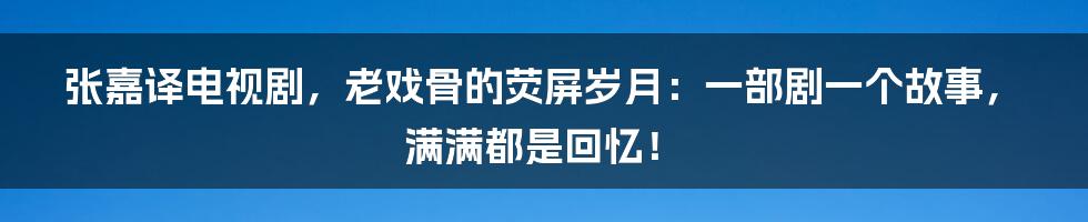 张嘉译电视剧，老戏骨的荧屏岁月：一部剧一个故事，满满都是回忆！