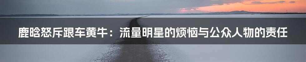 鹿晗怒斥跟车黄牛：流量明星的烦恼与公众人物的责任
